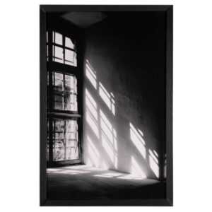 Obraz Somcasa Shadow 60 x 40 cm